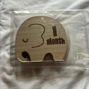 Pearhead Elephant Wooden Baby Month 1-12 Pictures